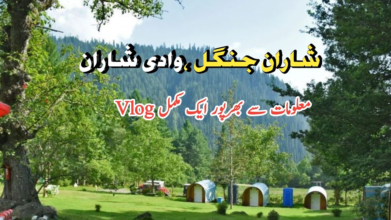 Sharan Valley, Sharan Forest,Manshi Top, |Kaghan Valley |