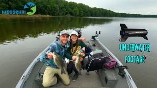 Baby's First Boat Ride turned into a FISHING FRENZY | SC100 Underwater Camera Review