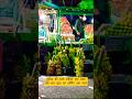 छठ पूजा के लिए परसाद खरीदना भी एक इमोशन है || #ytshorts #viral#chhathpuja
