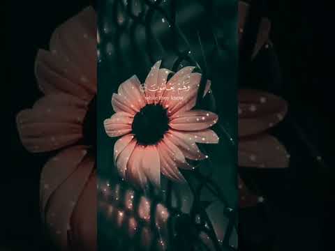 يا مقسم الأرزاق اقسم لنا من توفيقك ورضاك وغناك وتيسيرك لأمورنا فإن لا حول لنا ولا قوة الا بك