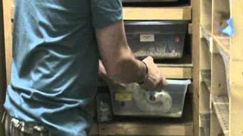 Ball Python eggs - the wait