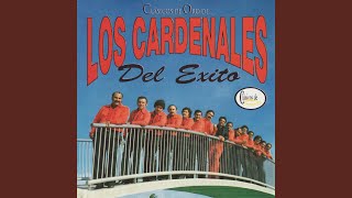 Video thumbnail of "Cardenales del Exito - Lolelolaila"