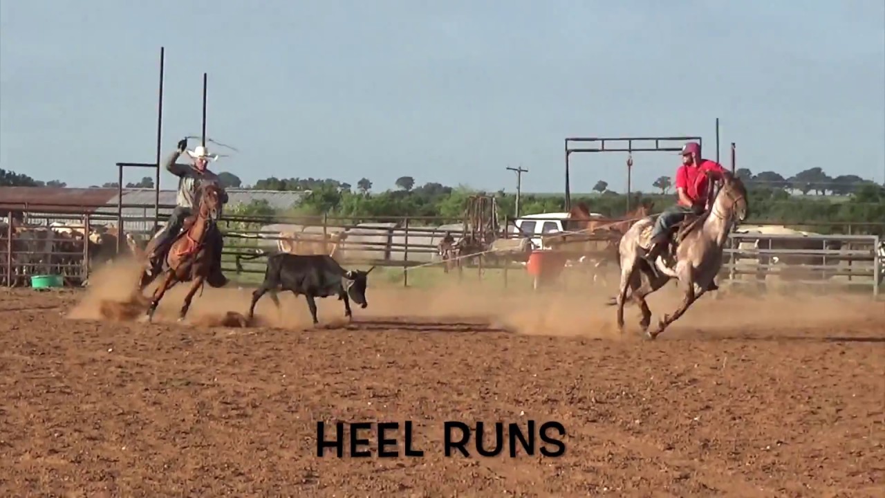 "MH Bet Yer Freckles" Finished Head/Heel/Ranch Mare All Around YouTube