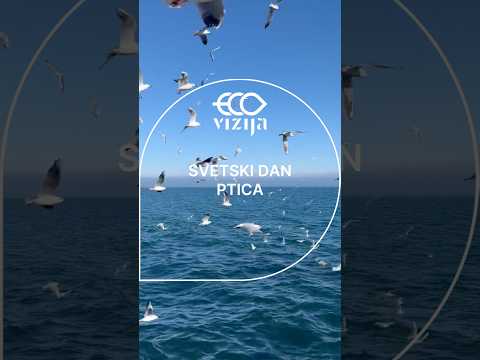 #birds #fly #nature #ekovizija