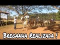 Amigos da Breganha - Tradição 100%