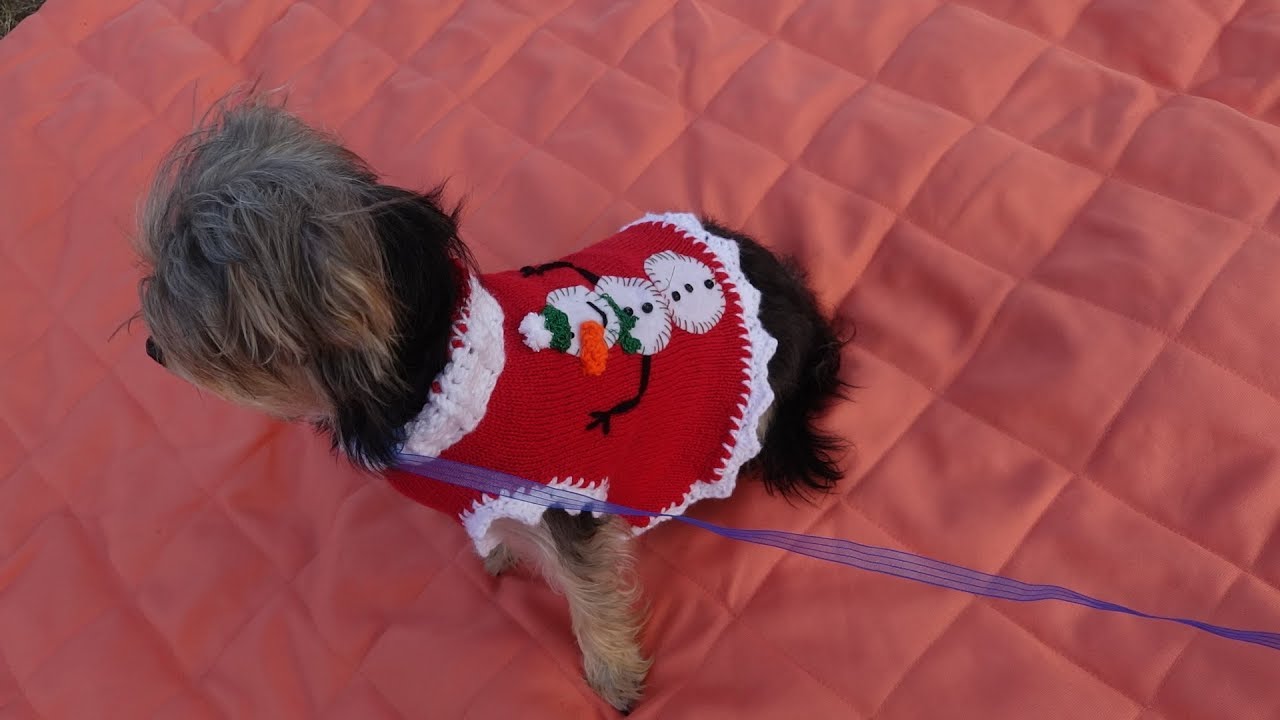 Disfraces Syhood 2 Piezas de Sombrero de Papá Noel para Mascotas de Navidad Bufanda de Papá Noel para Perros de Navidad para Mascotas Gatos L
