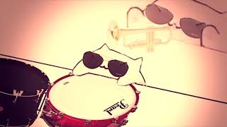 Hawaii Five O - Bongo Cat Extended