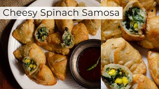 Spinach & Cheese Samosa Recipe- How To Make Cheesy Spinach Mini Samosa- Cheesy Spinach Samosa[2020]