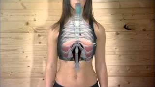 POWERbreathe - How it works.