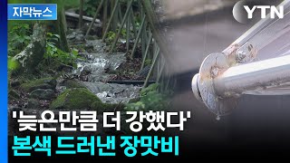 [자막뉴스] 18일 늦게 시작했는데...제주 첫 장마부터 '240mm 물폭탄' / YTN