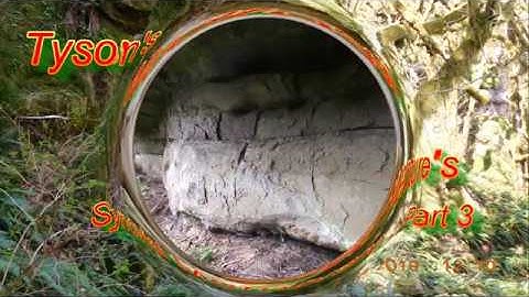 Mudfossils and Synovial Membrane. part 3