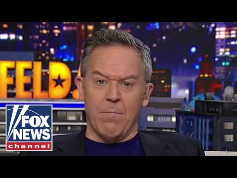 Greg gutfeld: instead of saying stanford, say stupid