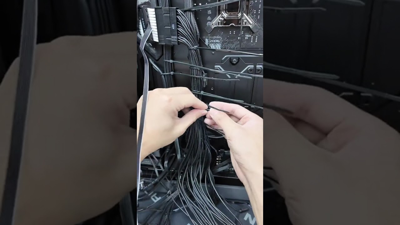 🐺 Wolf Fang Build – Sắc bén, mạnh mẽ 🌑
