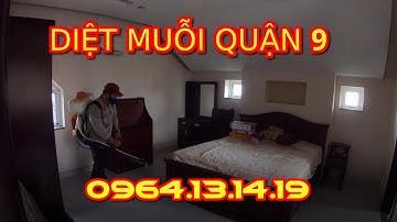 DIỆT MUỖI QUẬN 9 | CÔNG TY DIỆT MUỖI QUẬN 9 | DIỆT CÔN TRÙNG