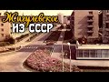 Жигулевское пиво СССР как сварить в домашних условиях.