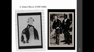 A Look into the Trans Archive