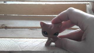 Кошка коричневая стоячая с зелеными глазами Кошка коричневая стоячая с зелеными глазами