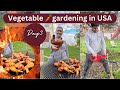 Gardening in usa day 3 2024  chicken  bbq gardening