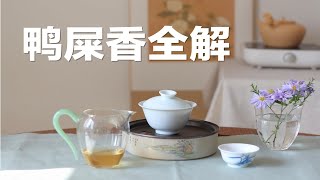 【清山茶事】近年最火茶叶鸭屎香单丛全干货讲解