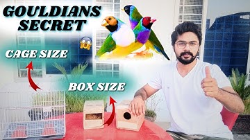 Uncovering the Secret Behind Abubakar Abbasi