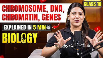 Class 10 ICSE Biology: Chromosome, DNA, Chromatin And Genes Explained in 6 Minutes