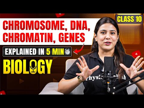 Class 10 ICSE Biology: Chromosome, DNA, Chromatin And Genes Explained in 6 Minutes