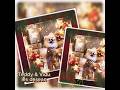 Teddy & Vidu Navidad en Buenos Aires (2/2) #shorts #love #dogs #viduyteddy #christmas #navidad