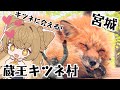 【Vlog】100匹以上が放し飼い！？宮城蔵王キツネ村に行ってきた🦊【Fox Village in Zao】#狐今あまね