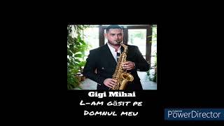 Video thumbnail of "Gigi Mihai - L-am gasit pe Domnul meu"