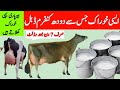 How To increase Cow Milk | Cow Milk Farm | Buffalo Milk For infants