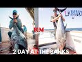 Bluefin limits Fishing Tanner Banks on old glory 2 day trip  out of hm landing San Diego