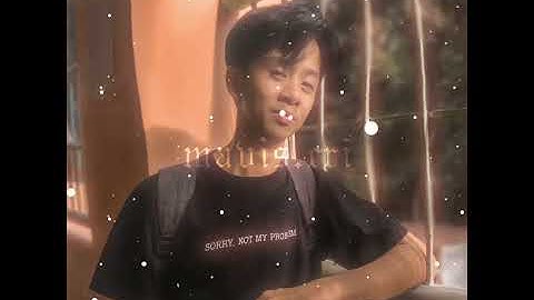 Simple fan edit | Alight motion