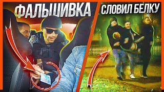 ПОДСУНУЛИ ФАЛЬШИВКУ | ПОЙМАЛ БЕЛОЧКУ - ВЫНОСИЛИ НА РУКАХ