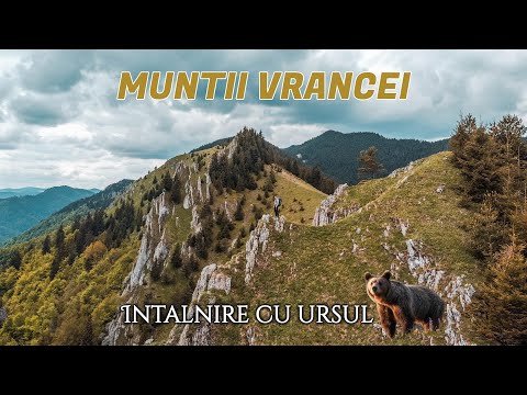 Muntii Vrancei |