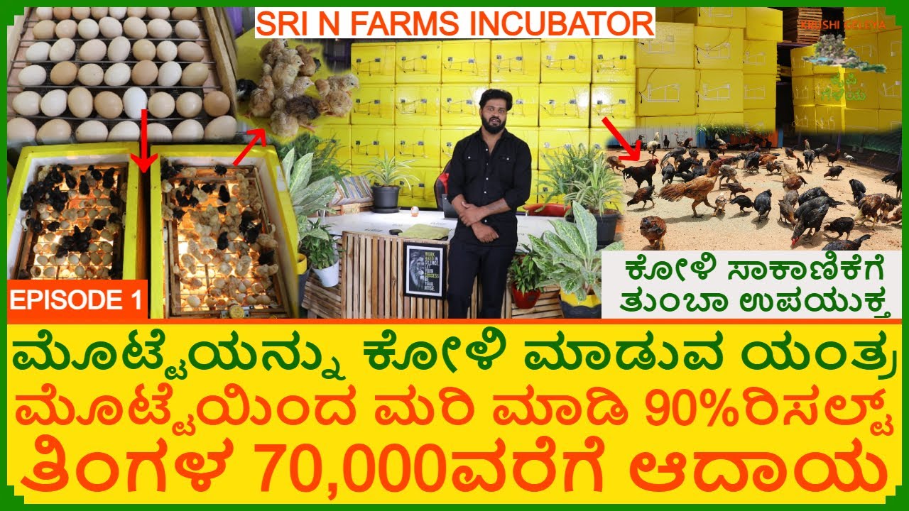ಮೊಟ್ಟೆಯನ್ನು ಕೋಳಿ ಮಾಡುವ ಯಂತ್ರ 90% ರಿಸಲ್ಟ್ | Egg Hatcher Best Incubator | ಕೋಳಿ ಸಾಕಾಣಿಕೆಯಲ್ಲಿ ಡಬಲ್ ಆದಾಯ