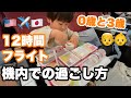 【赤ちゃんと3歳の子連れ搭乗記】国際線飛行機での子供と機内の過ごし方｜ロサンゼルス⇄日本 海外旅行長距離フライト