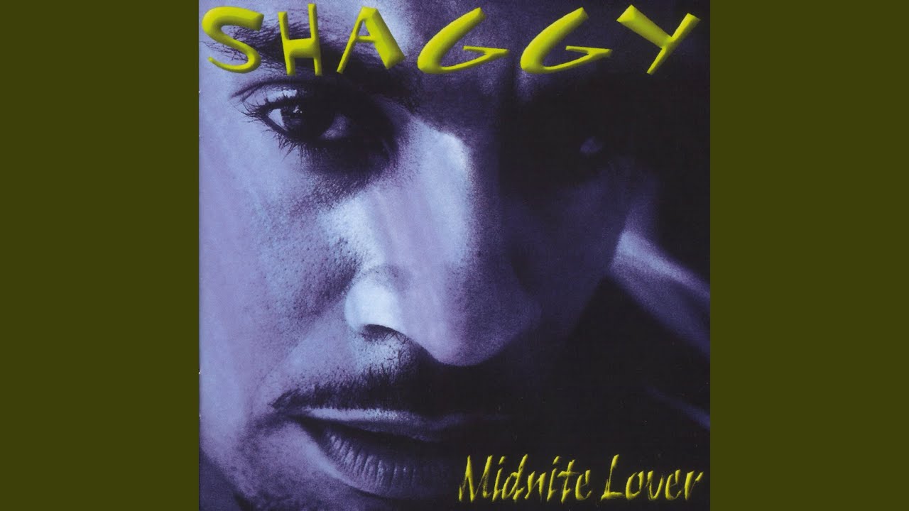 My Dream – Shaggy
