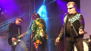 The Rezillos -  Live@Rebellion Festival