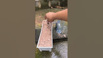 เครื่องรดน้ำต้นไม่อัตโนมัติ