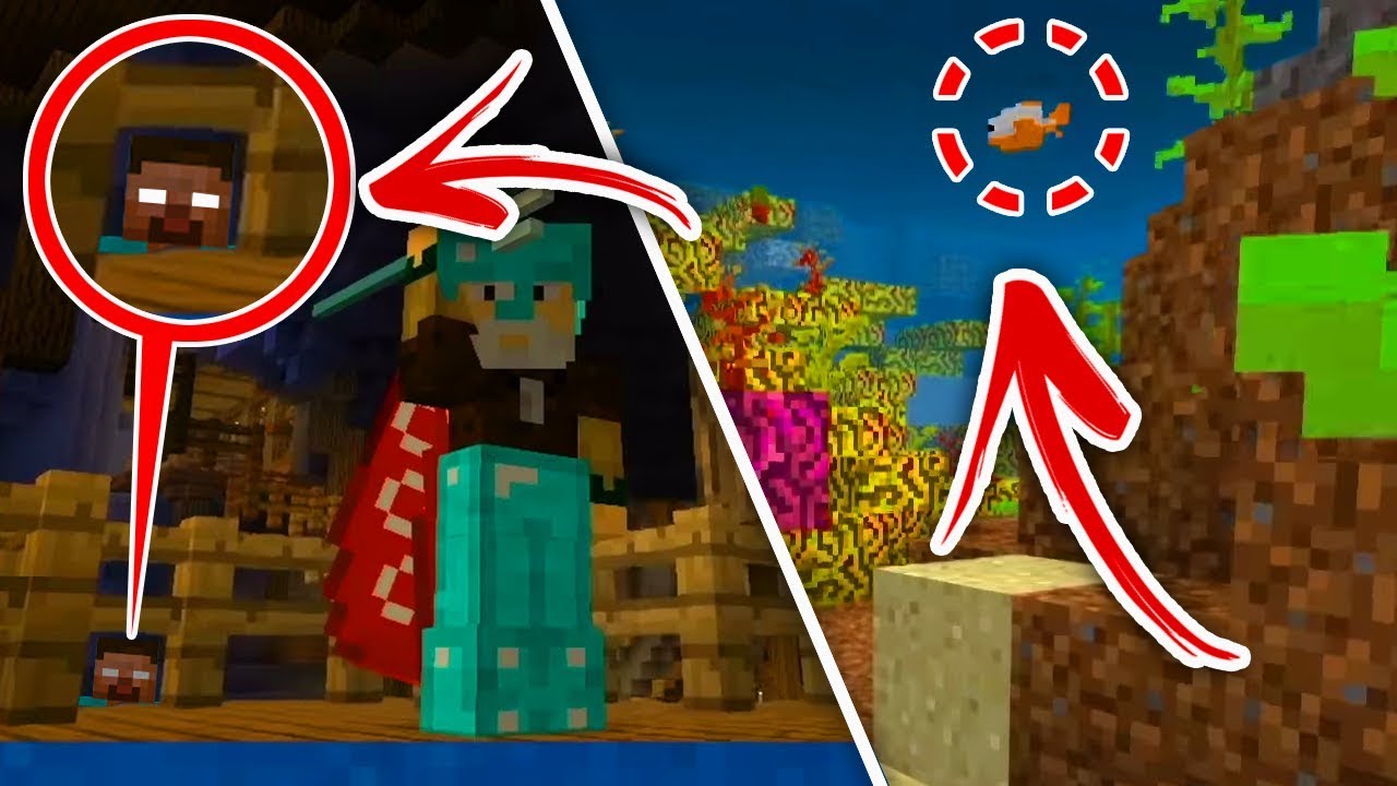 Minecraft : 5 SECRET Things Coming To Aquatic Update (Ps3 