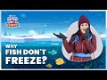 Understanding Ice and Its Role in Earth's Ecosystem