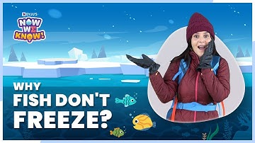 Anomalous Behaviour of Water | How Ice Supports Life on Earth | BYJU