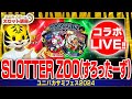 ユニバカサミフェス2024 限定LIVE!