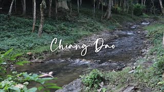 If You Ever Came To Chiang Dao Thailand, I Wil 如果你来清道我会带你去
