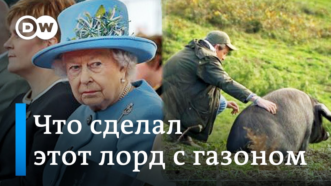 Свиньи на английском газоне! Что сказала бы королева? | DW в гостях в настоящего британского лорда
