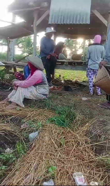 Jangan malu jadi anak petani Karena tanpa petani masyarakat tidak bisa makan