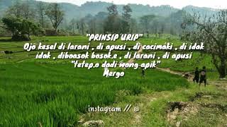 Story wa , prinsip hidup