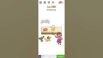 Brain Out level 160 - Find the Fly