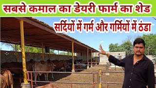 कमाल का डेयरी फार्म का शेड सबसे सस्ता और मौसम के अनुकूल desi cow dairy farm - Agritech Guruji