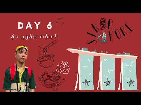 SINGAPORE TRIP - day 6| TUI đang ở Phố người Hoa Tp.HCm???